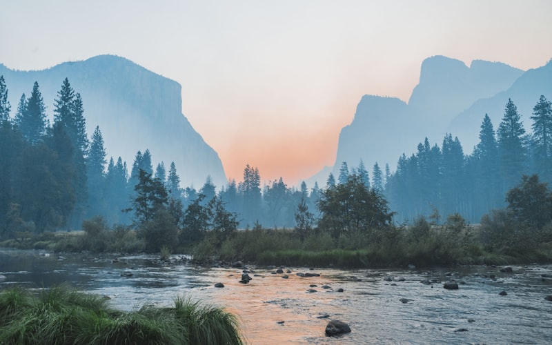 Pacific Northwest Collection